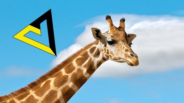 voluntaryist-giraffe.jpg