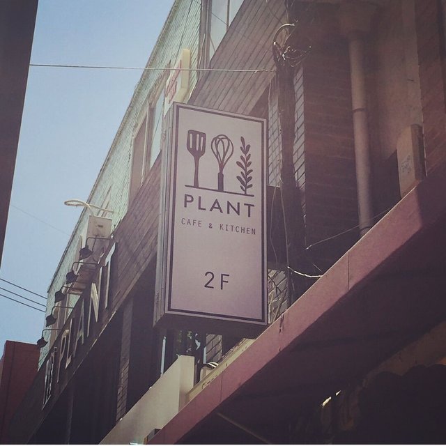 plant 2.jpg