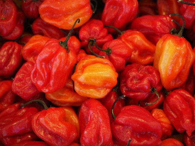 habaneros-499057_1920.jpg