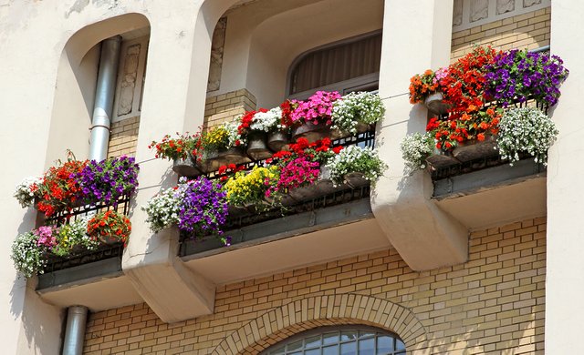 bigstock-Multi-colored-Flowers-On-Balco-52306132.jpg