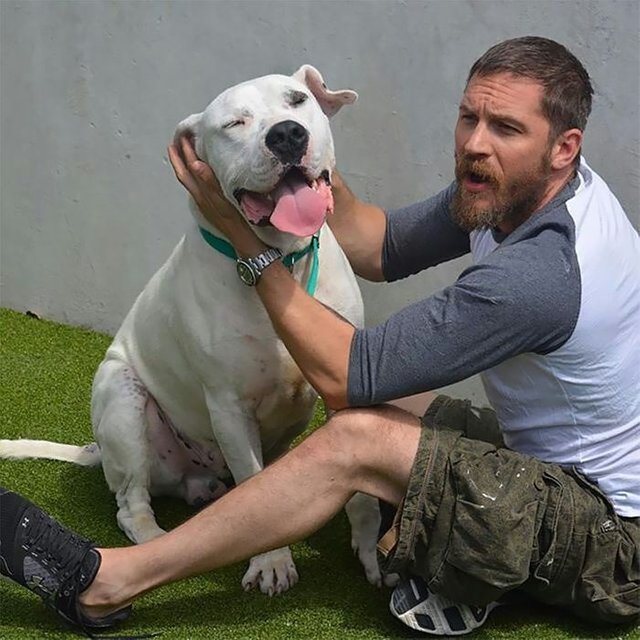 love-for-dogs-tom-hardy-21-59bf7f6fdcfbb__700.jpg