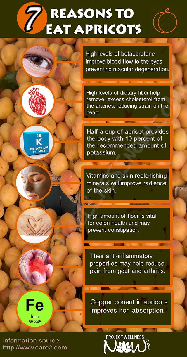 APRICOTS INFOGRAPHIC WITH WATERMARK.jpg