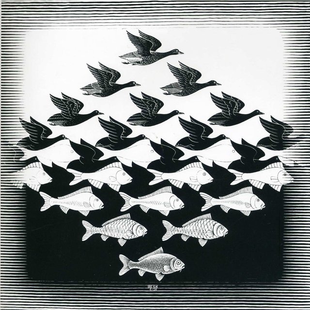 bird-and-fish-pattern-optical-illusion-escher-art-wallpaper-dd-bird-794585620.jpg
