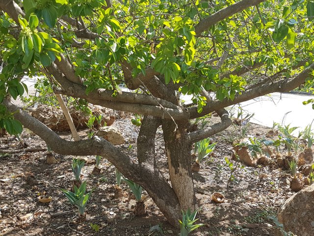 20171031_143816.jpg