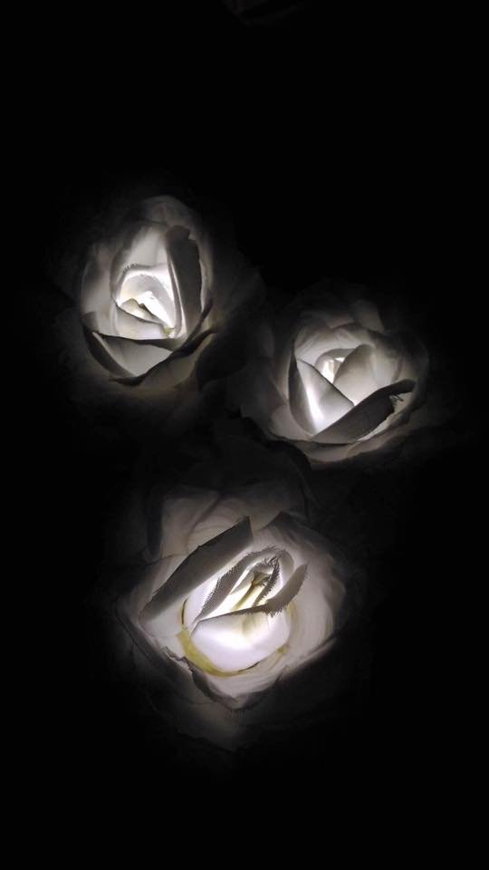 LED Roses.jpg