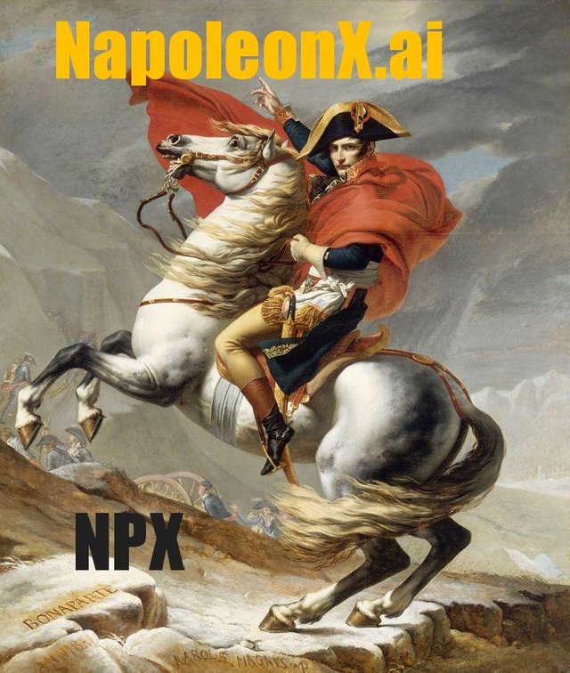 napoleonX_NPX.jpg