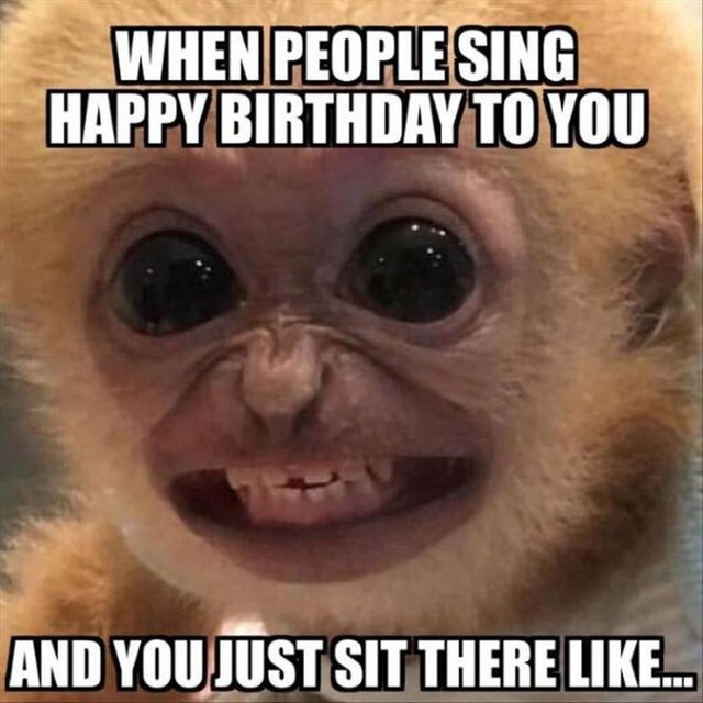 01c01c45cb997f16675c5a5825645ceb--funny-happy-birthdays-pictures-of.jpg