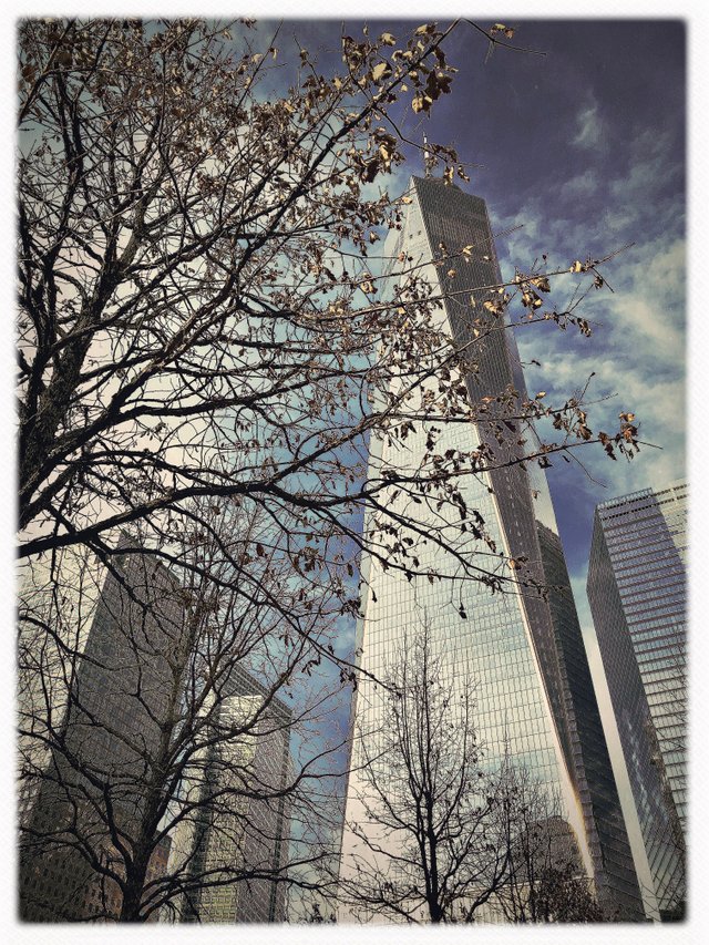 HipstamaticPhoto-541133667.019246.jpg
