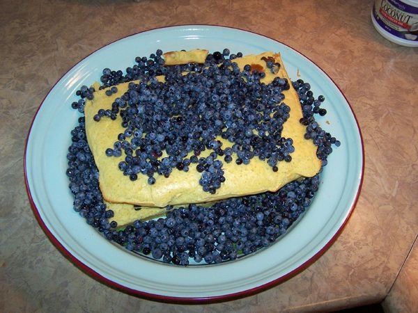 Blueberry Shortcake crop July 2016.jpg