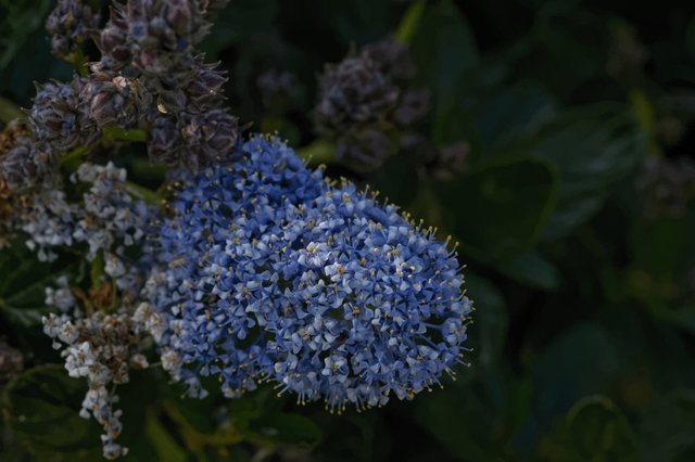 17226356351_287e869ee6_o (FILEminimizer).jpg