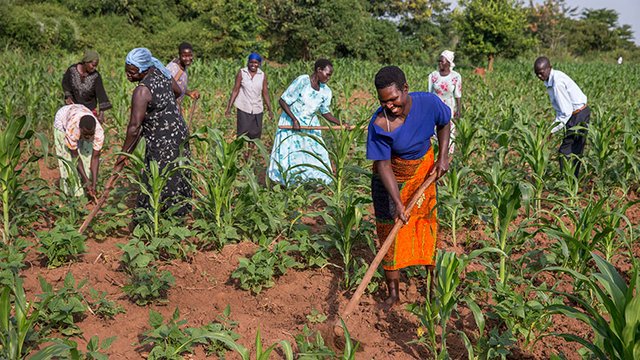 africacan-calling-african-policymakers-our-economic-future-must-be-powered-by-our-farms-780x439.jpg