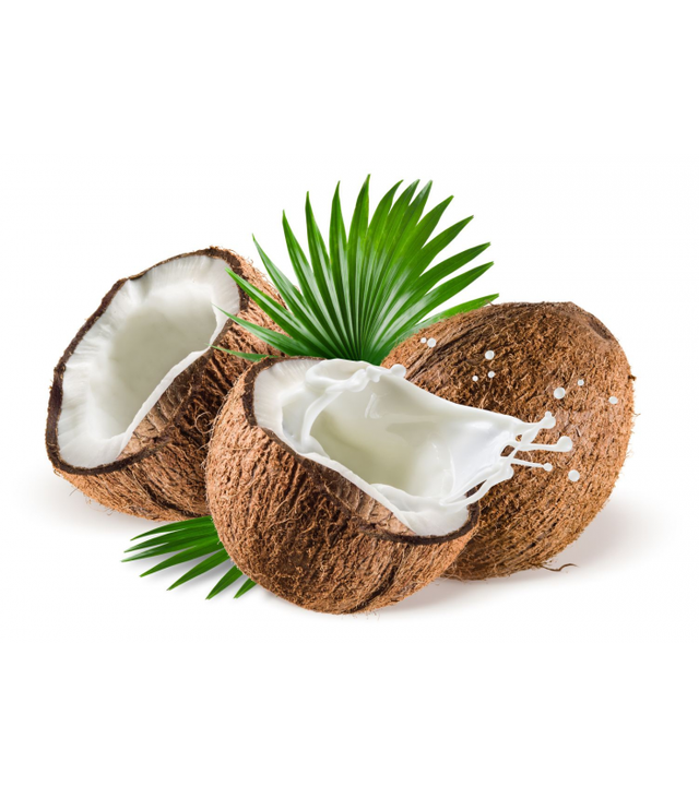 coconut-milk-powder-organic.jpg