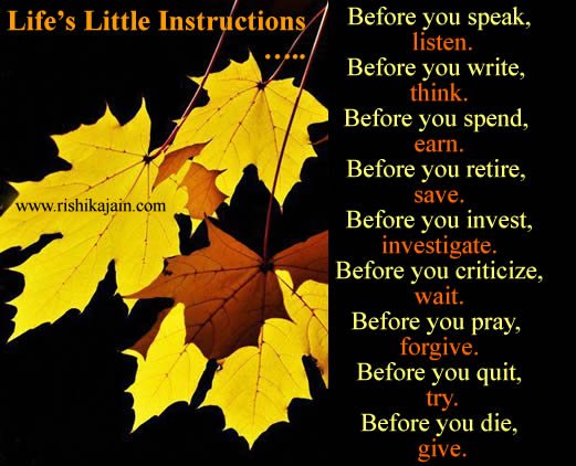 Life%u2019s-Little-Instructions.jpg