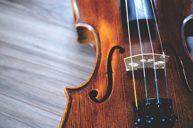 violin-2560312_960_720.jpg