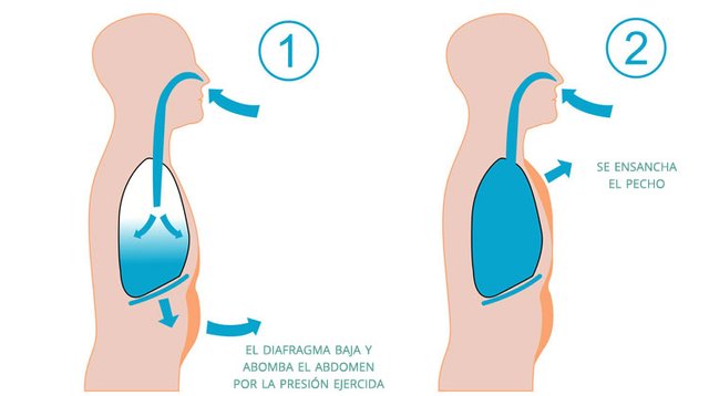 respiracion-abdominal.jpg