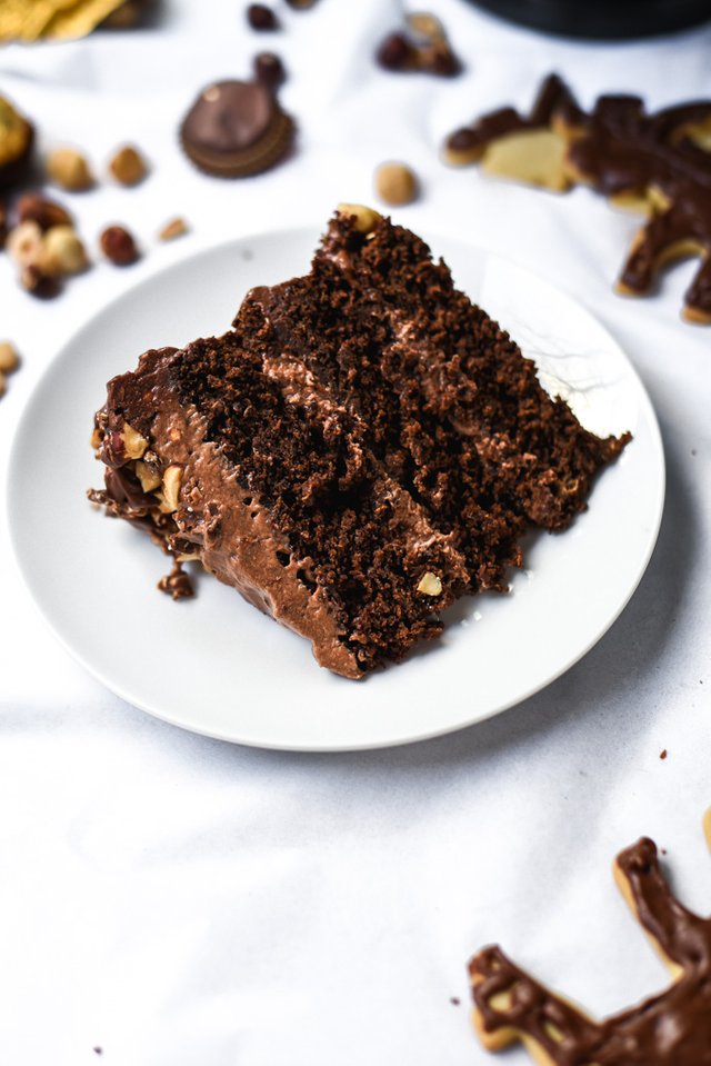 Chocolate Nutella Mousse Moose Cake (7).jpg