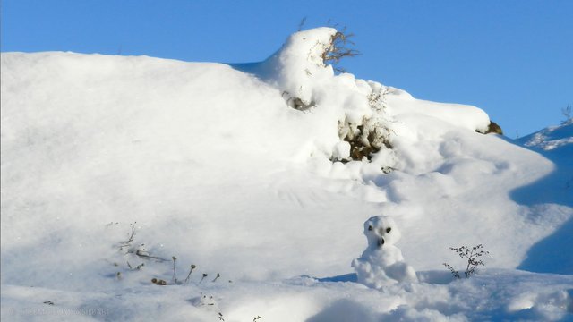 erster-schnee1.jpg