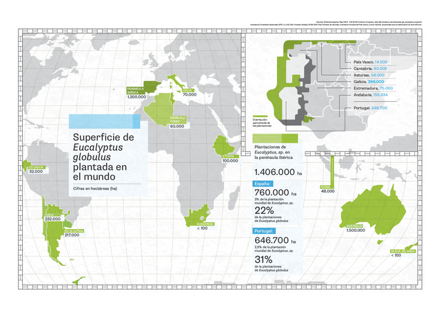 Mapa_InformeEucalipto2011_2.png