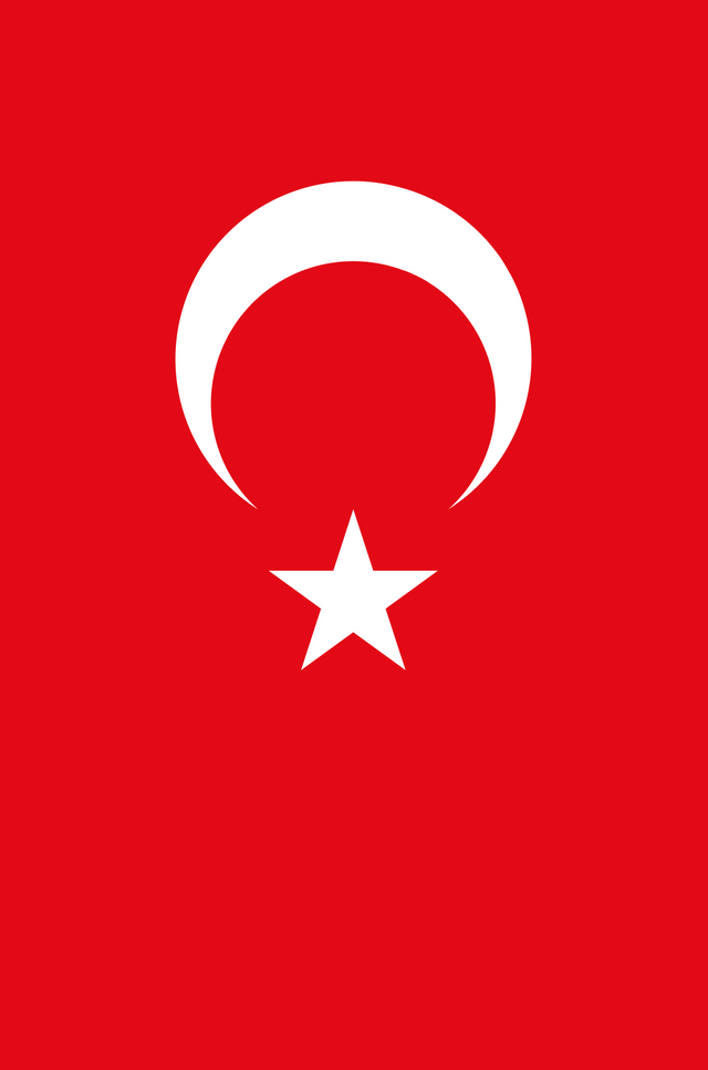 Flag_of_ParaTurkey.png