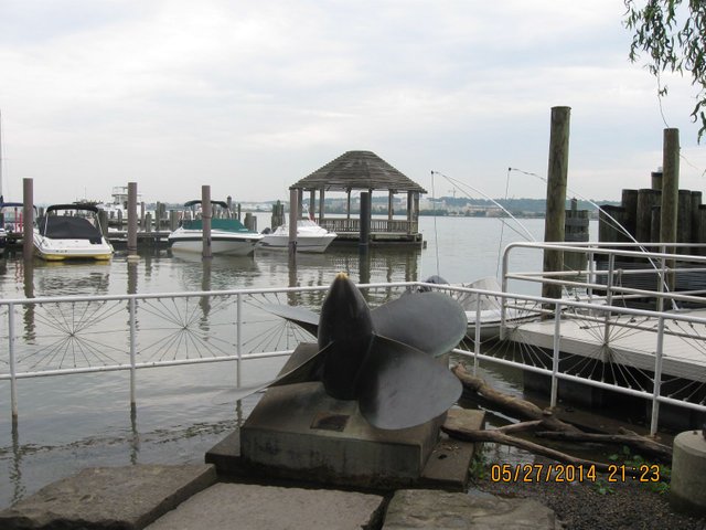 IMG_7011.JPG