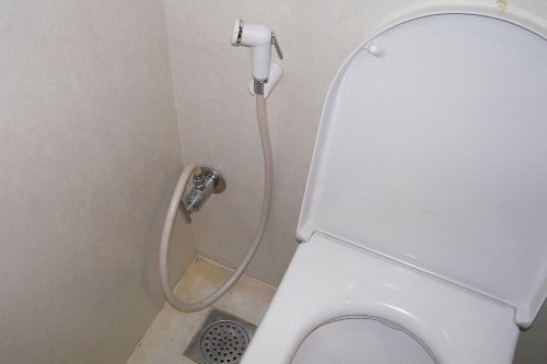 toilet-hose.jpg