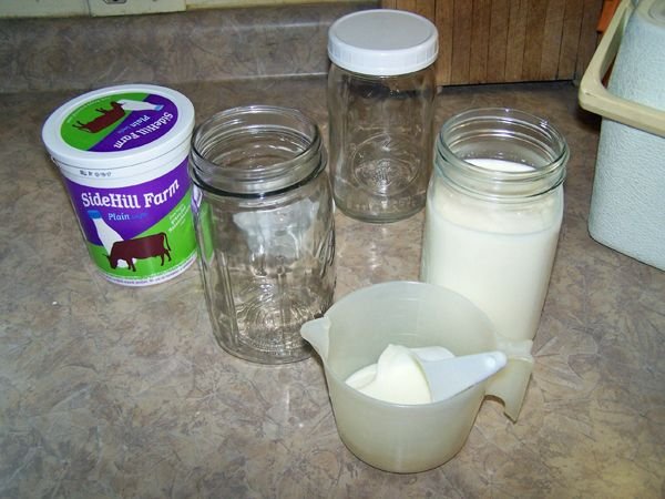 Making yogurt - jars and starter crop Dec. 2017.jpg