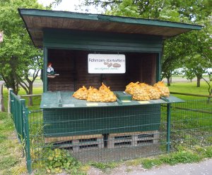 Kartoffelstand_Fehmarn.JPG