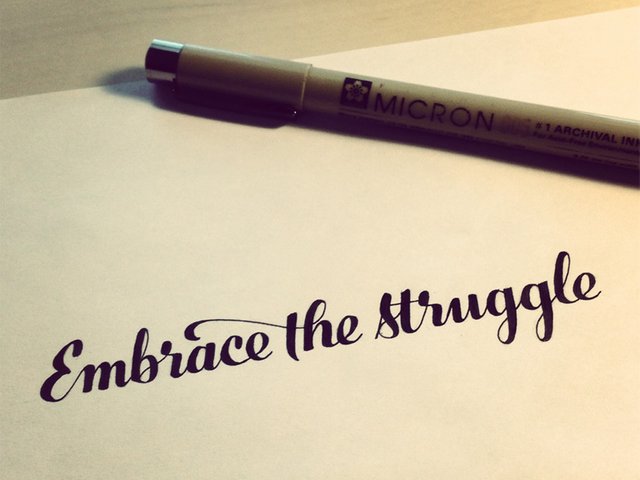 embrace-the-struggle.jpg