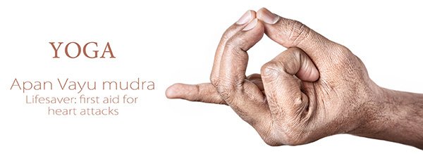 Apana-Vayu-Mudra.jpg