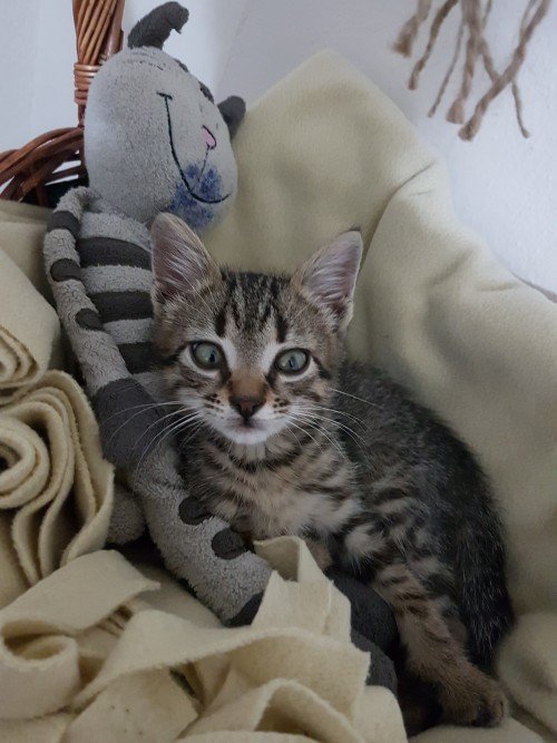 20170605_234141.md.jpg