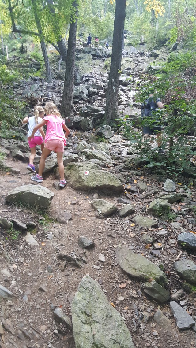 20170916_122615.jpg