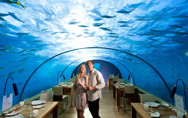 Ithaa-Undersea-Restaurant-Maldives-STRANGE0216.jpg