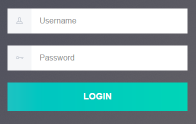 login-form.png