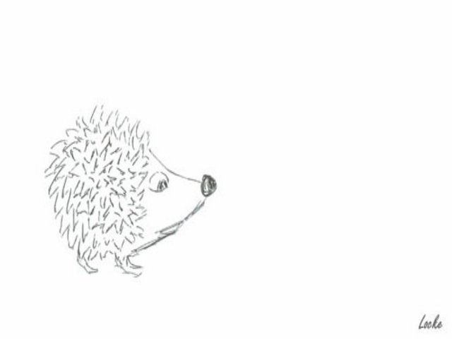 igel_2017-06-11-0001.jpg