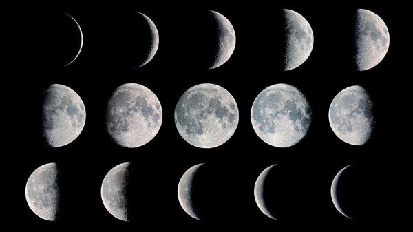 moon-phases-Fred-Espenak-lg-e1464203296249.jpg