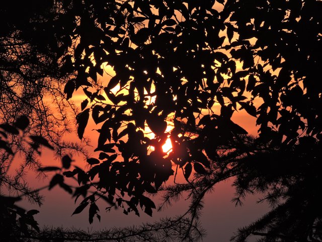 DSCN8122.JPG