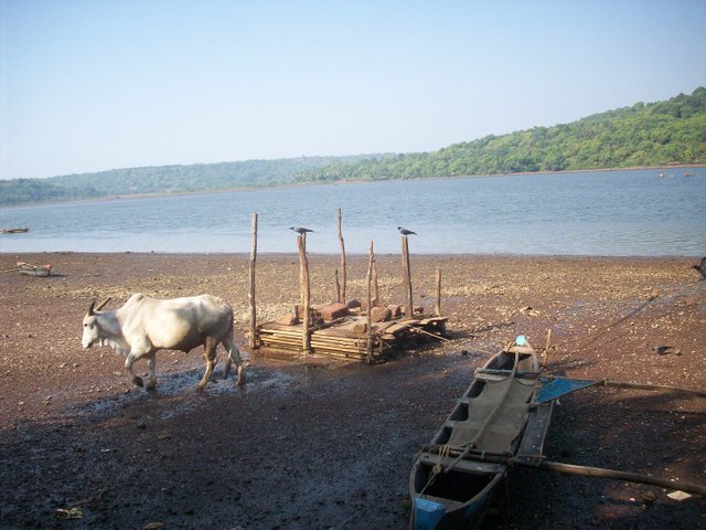 100_0236.JPG