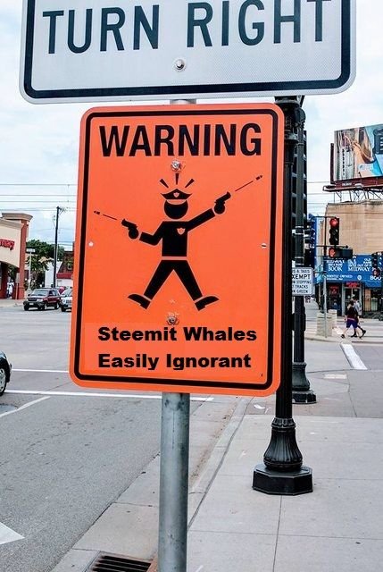 STEEMIT WHALES EASILY IGNORANT.jpg