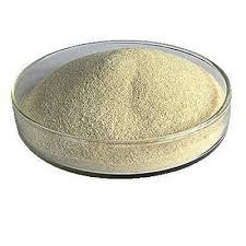 Alginate.jpg