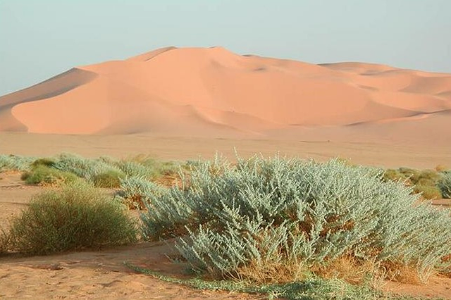 Marzuk Dunes 1.png