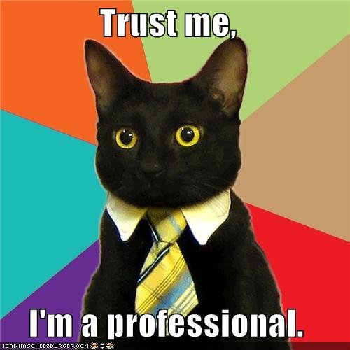 professionalcat.jpg