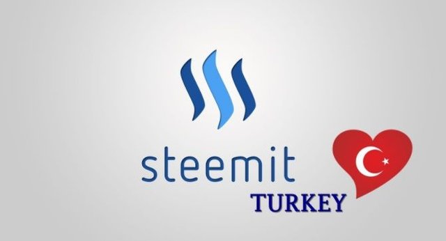 steem turkey.jpg