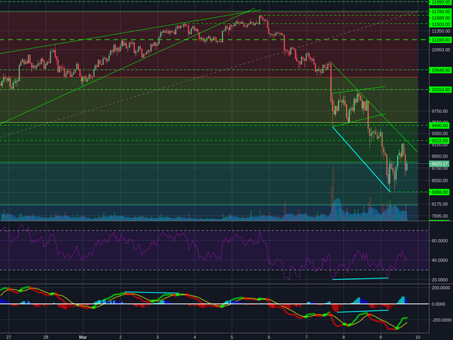 Bitstamp:BTCUSD 1h