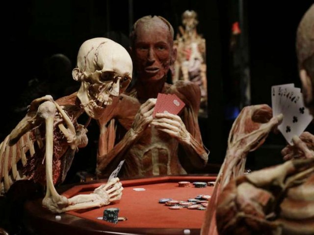 body-worlds-a-milano-la-grande-mostra-dedicata-al-corpo-umano-80_917_786x587.jpg