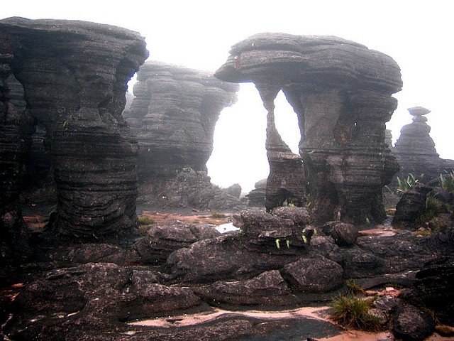 gran sabana 5.jpg