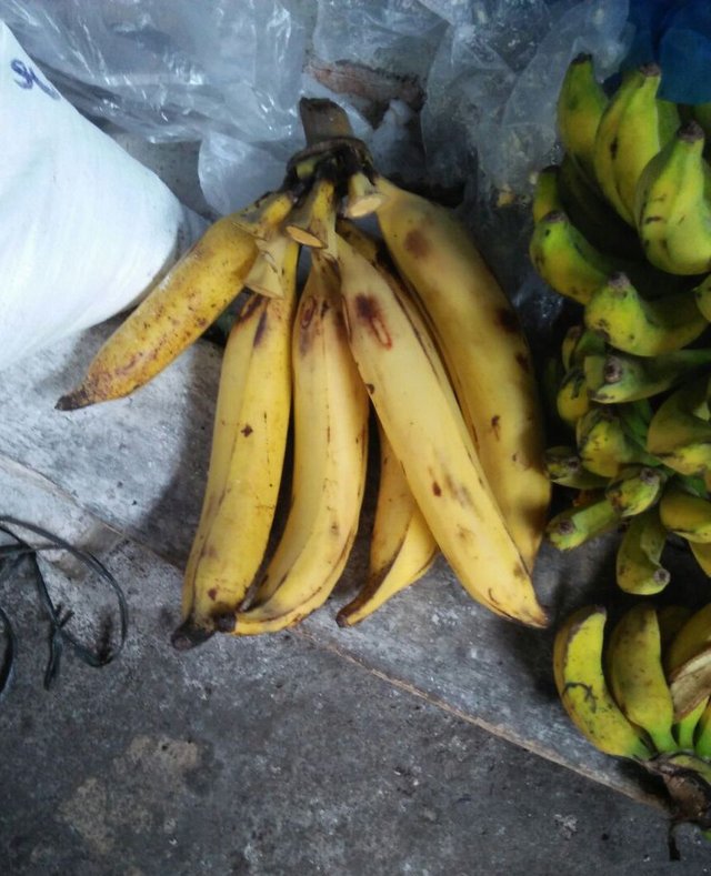 Banana from aceh to make fried food.jpg
