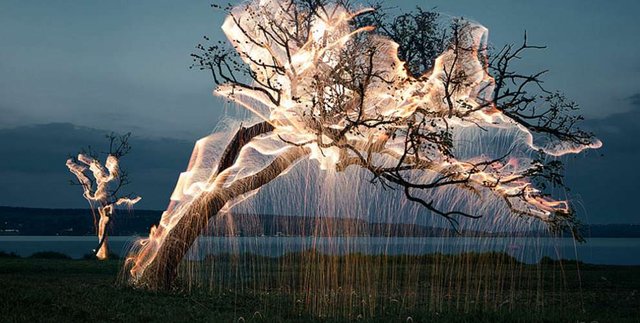 Amazing-long-exposure-photos-make-light-look-like-cobwebs-on-trees.jpg