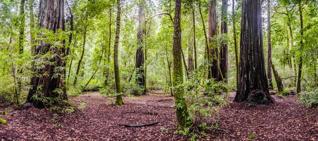 DSC_4479-HDR-Pano.jpg