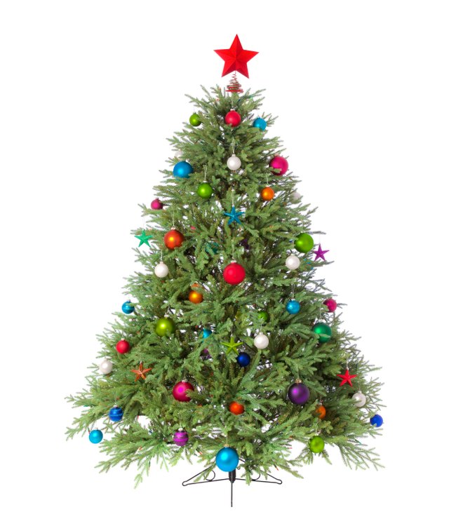 christmas-tree-isolated_venplz.jpg