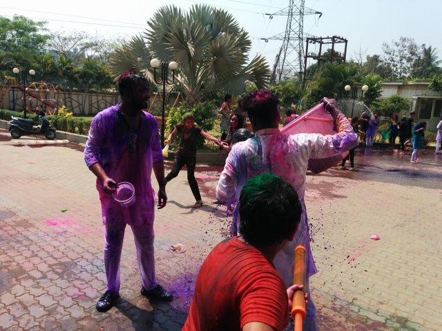 Holi 13.jpg